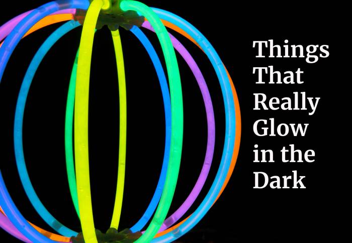 Things That Really Glow in the Dark