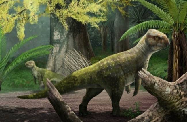 Top 10 Cutest Dinosaurs of the Mesozoic Era